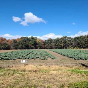 chris van hook travels to Japan - to learn about agriculture findings.